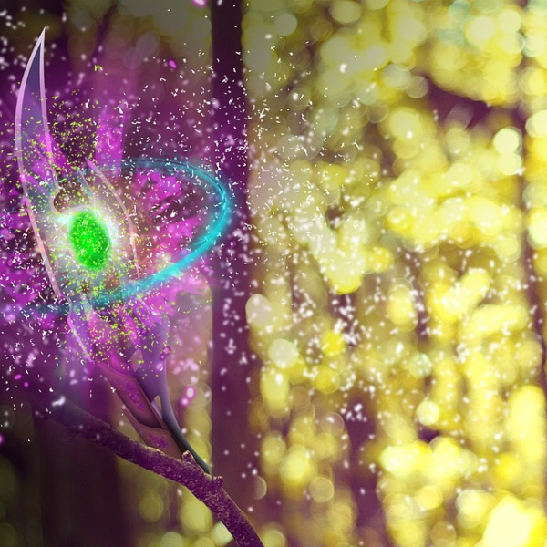 cleaning staff portrait eco team